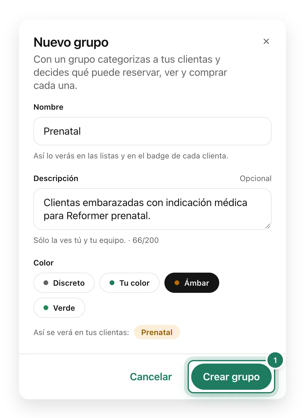 El cuadro Nuevo grupo con el nombre Prenatal, su descripción y el color ámbar.
