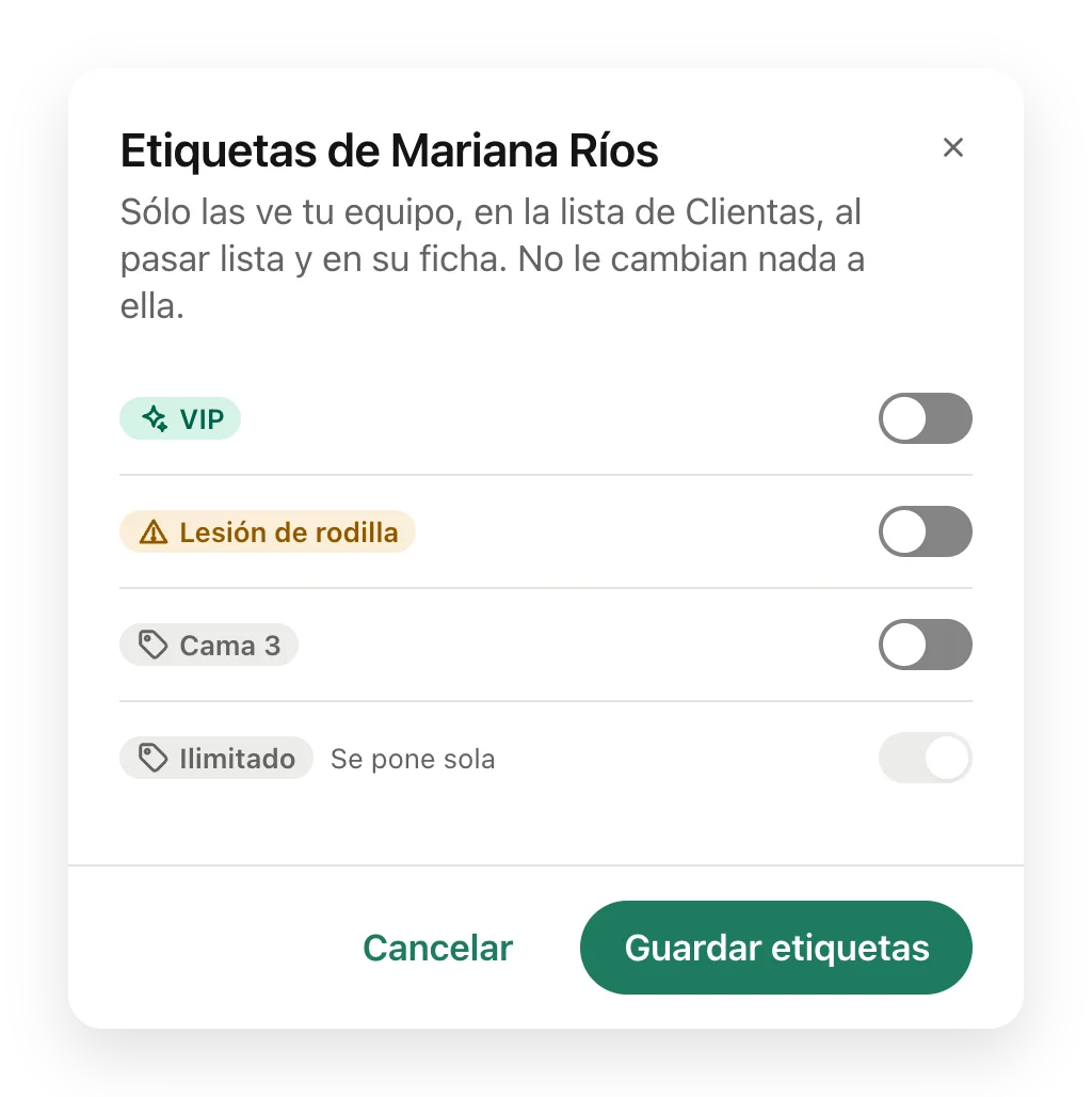 El cuadro Etiquetas de Mariana Ríos con VIP y Lesión de rodilla marcadas.